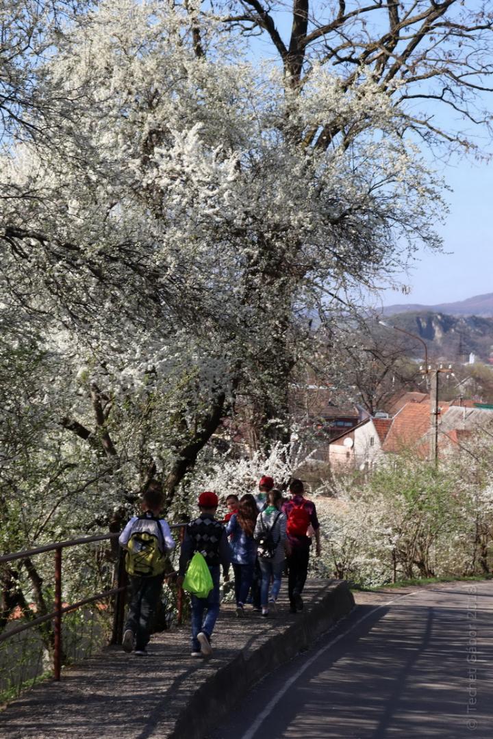 Gyönyörű tavaszi idő lett