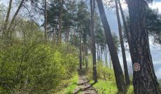 Via Transilvanica