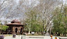 A park