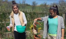 növények gondozása