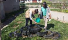 növények gondozása