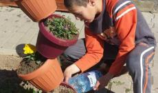 növények gondozása