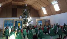 Fenyőtánc Fenyőtánc