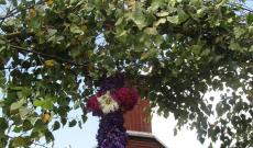 Virágkereszt a Kápolna bejáratánál