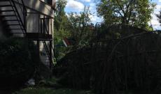 A nagybocskói óvoda udvarán a kidőlt fenyő tönkretette a játszóteret