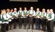 Dankó Pista Népdalkör a színpadon split