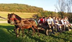 Szekeres vonulásra készen Szüreti bál Székelyhodoson