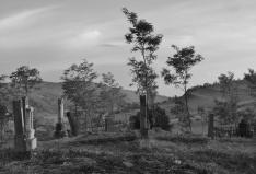 Régi temetőkert Siménfalva határában