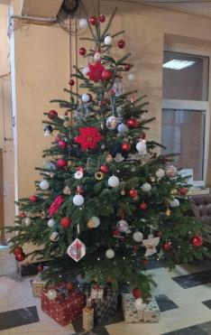 A temesvári magyarok közösségi karácsonyfája a Magyar Házban