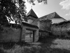 Kontrasztok - Nádpatak