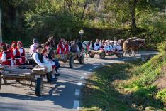 Cickom/Csicsergők- szekerek a kanyarban