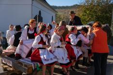 Cickom/Csicsergők- pihenő