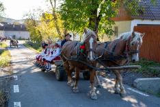 Cickom/Csicsergők- szekér