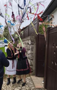 Villőzés Kolon, Zoboralja