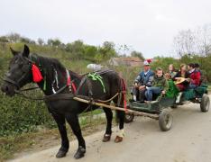 Szüreti mulatság a Türi Magyar Házban