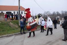 Kakasütés Várdarócon