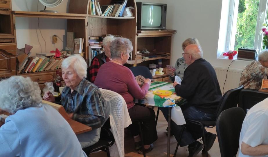 Aktív magyar nyugdíjasok Aradon