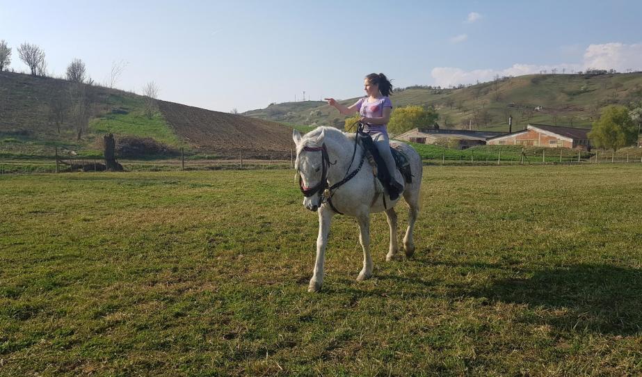 Látogatás Harasztosra Látogatás Harasztosra