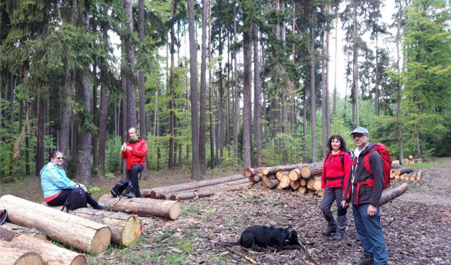 Cseh- és Morvaországi Magyarok Szövetsége Brünni Helyi Egyesület