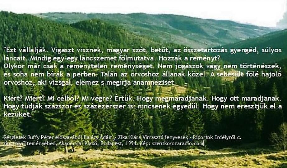 Szeretettel: az Ön Petőfi ösztöndíjasa