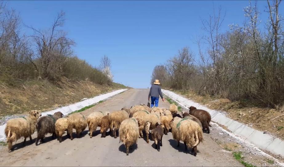 Tavaszi munkák Kóboron