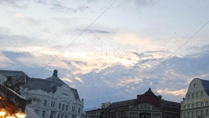 A nyüzsgő főtér födön és levegőben.